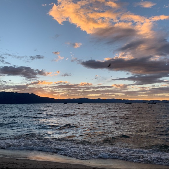 Meet your Posher, Crystal - Picture 2 of 6